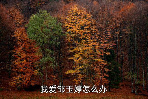 東莞鄒玉婷，鄒玉婷和彭良杰合適嗎