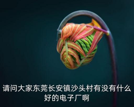 請問大家東莞長安鎮沙頭村有沒有什么好的電子廠啊
