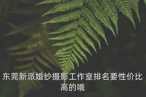 東莞南城婚紗影樓哪家好，東莞南城哪里拍婚紗照好口碑服務都要好的最重要還要實惠