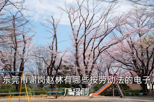 東莞市謝崗趙林有哪些按勞動(dòng)法的電子廠招聘