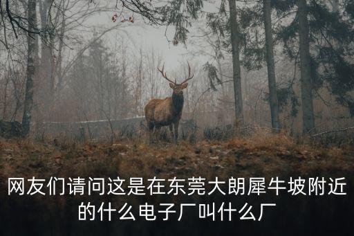 網(wǎng)友們請問這是在東莞大朗犀牛坡附近的什么電子廠叫什么廠