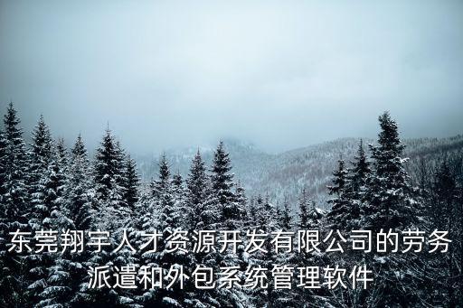 東莞翔宇人才資源開發有限公司的勞務派遣和外包系統管理軟件