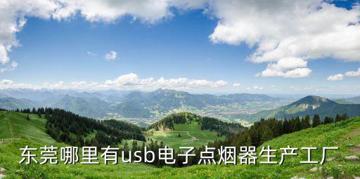東莞哪里有usb電子點煙器生產工廠