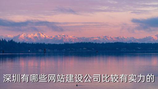 深圳有哪些網站建設公司比較有實力的