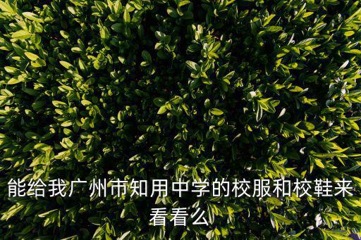能給我廣州市知用中學(xué)的校服和校鞋來看看么