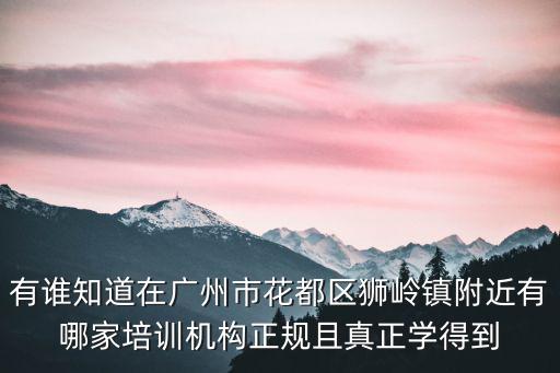有誰知道在廣州市花都區獅嶺鎮附近有哪家培訓機構正規且真正學得到