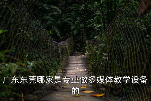 廣東東莞哪家是專業做多媒體教學設備的