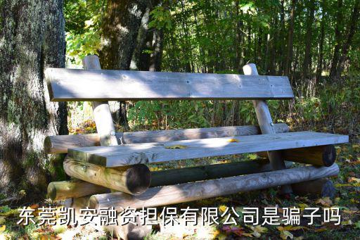 東莞凱安融資擔保有限公司是騙子嗎