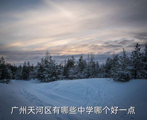 廣州天河區有哪些中學哪個好一點