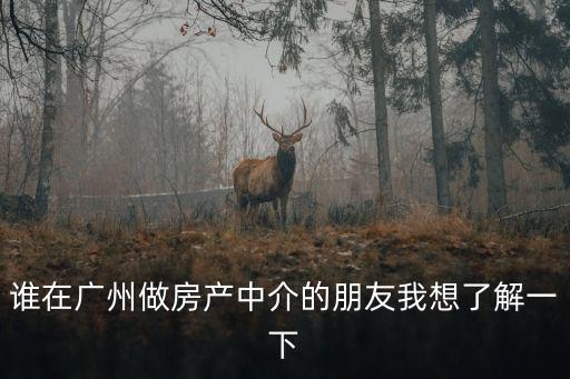 誰在廣州做房產中介的朋友我想了解一下