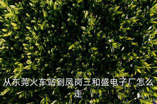 東莞貞觀盛電子，從東莞火車站到鳳崗三和盛電子廠怎么走