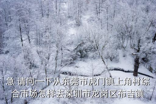 急 請問一下從東莞市虎門鎮(zhèn)上角村綜合市場怎樣去深圳市龍崗區(qū)布吉鎮(zhèn)