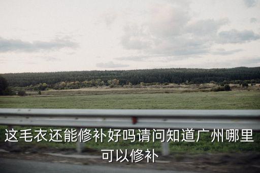 廣州 織補 多少錢，這毛衣還能修補好嗎請問知道廣州哪里可以修補