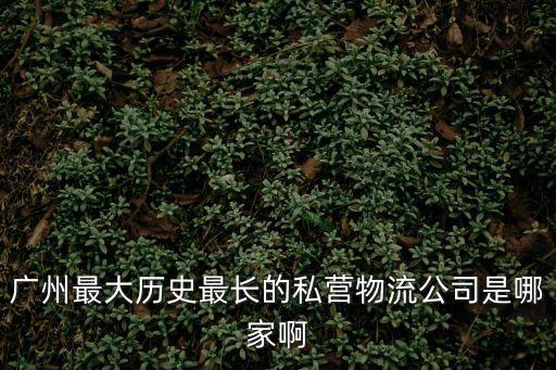廣州最大歷史最長的私營物流公司是哪家啊