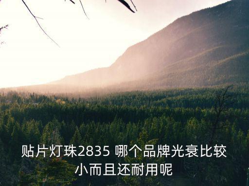 貼片燈珠2835 哪個品牌光衰比較小而且還耐用呢