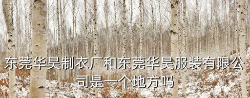 東莞華昊制衣廠和東莞華昊服裝有限公司是一個(gè)地方嗎
