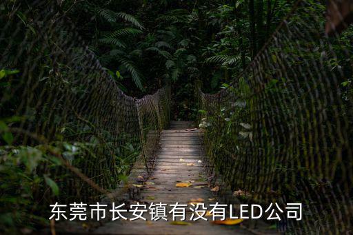 東莞市長安鎮有沒有LED公司