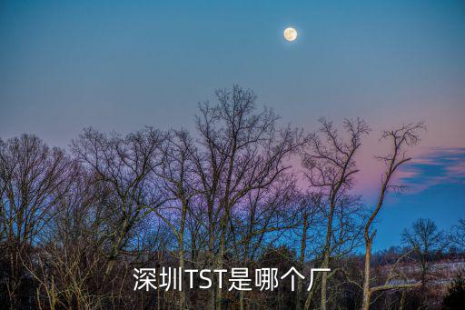 深圳TST是哪個廠