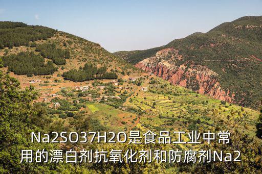 Na2SO37H2O是食品工業(yè)中常用的漂白劑抗氧化劑和防腐劑Na2