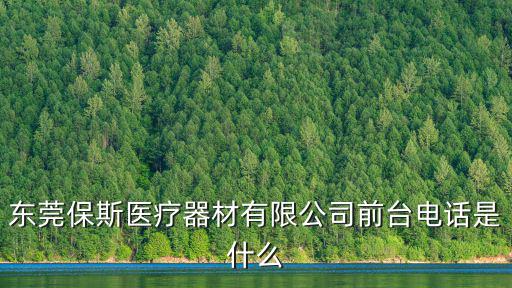 東莞市諾萬(wàn)醫(yī)療器械有限公司，電腦中頻治療儀