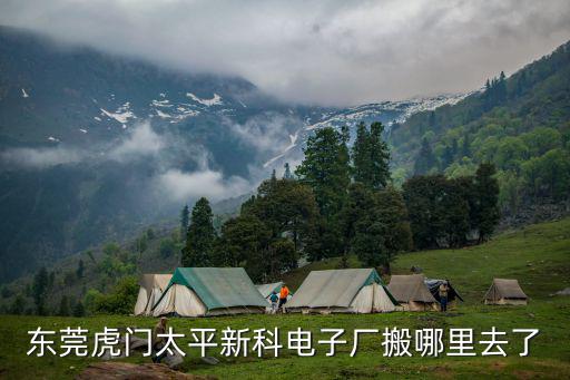 東莞虎門太平新科電子廠搬哪里去了
