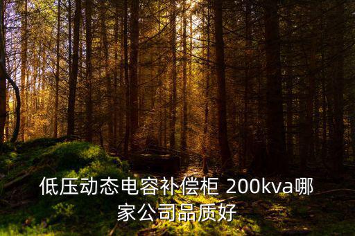 低壓動態電容補償柜 200kva哪家公司品質好