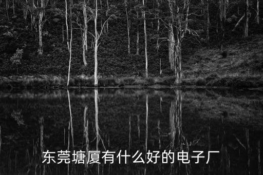 東莞塘廈有什么好的電子廠