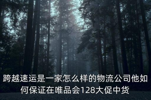 跨越速運(yùn)是一家怎么樣的物流公司他如何保證在唯品會(huì)128大促中貨