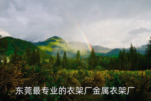 東莞最專業的衣架廠金屬衣架廠