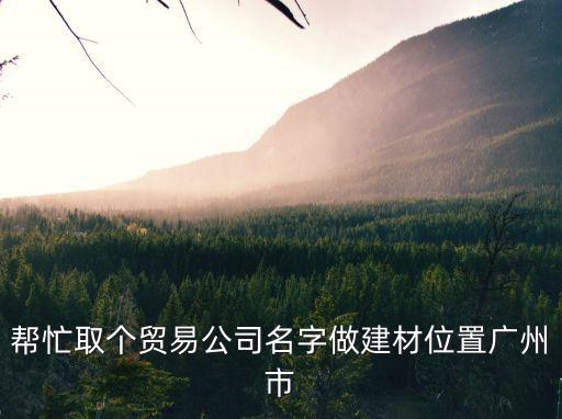 幫忙取個(gè)貿(mào)易公司名字做建材位置廣州市