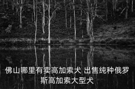 佛山哪里有賣高加索犬 出售純種俄羅斯高加索大型犬