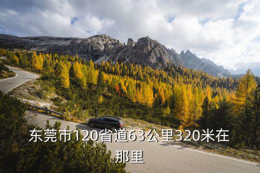 東莞市120省道63公里320米在那里