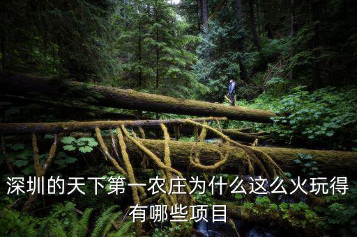 深圳的天下第一農(nóng)莊為什么這么火玩得有哪些項目
