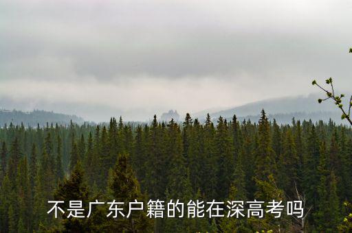 不是廣東戶籍的能在深高考嗎