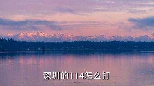 深圳的114怎么打