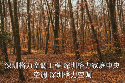 深圳格力空調工程 深圳格力家庭中央空調 深圳格力空調