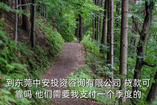 到東莞中安投資咨詢有限公司 貸款可靠嗎 他們需要我支付一個季度的