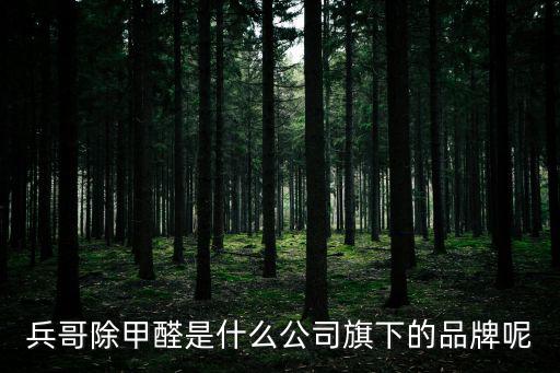 兵哥除甲醛是什么公司旗下的品牌呢