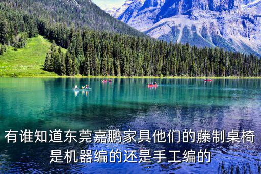 有誰知道東莞嘉鵬家具他們的藤制桌椅是機器編的還是手工編的