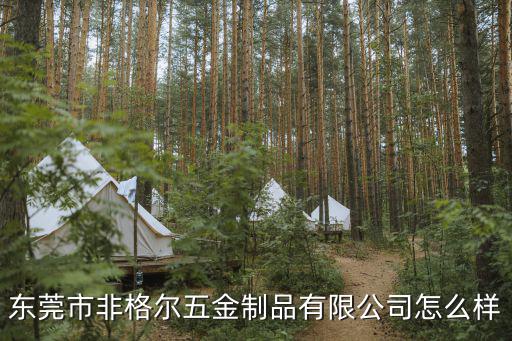 東莞市非格爾五金制品有限公司怎么樣