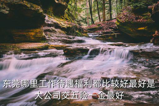 東莞哪里工作待遇福利都比較好最好是大公司交五險(xiǎn)一金最好