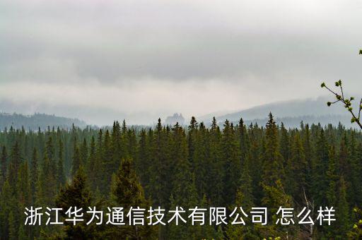 浙江華為通信技術(shù)有限公司 怎么樣