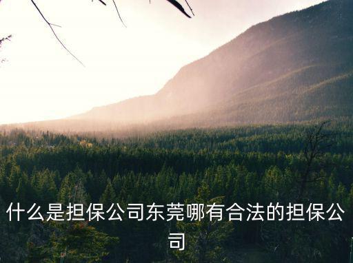 什么是擔(dān)保公司東莞哪有合法的擔(dān)保公司