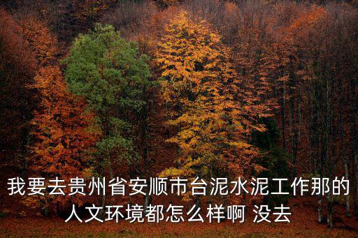 我要去貴州省安順市臺泥水泥工作那的人文環(huán)境都怎么樣啊 沒去