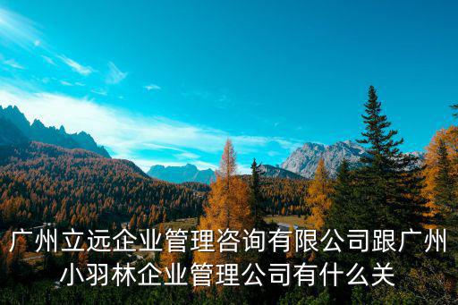 廣州立遠企業管理咨詢有限公司跟廣州小羽林企業管理公司有什么關