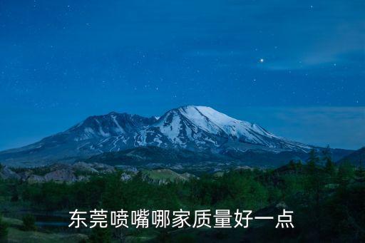 東莞噴嘴哪家質(zhì)量好一點(diǎn)