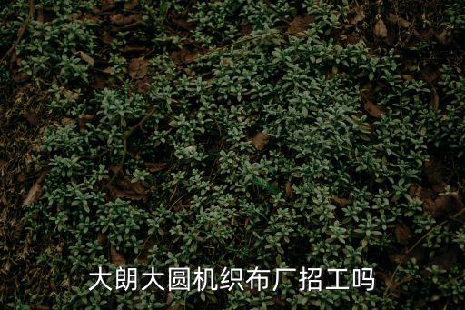 大朗大圓機(jī)織布廠招工嗎