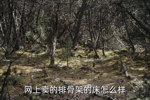 網(wǎng)上賣(mài)的排骨架的床怎么樣