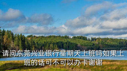 請(qǐng)問(wèn)東莞興業(yè)銀行星期天上班嗎如果上班的話可不可以辦卡謝謝