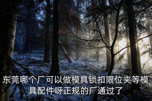 東莞哪個廠可以做模具鎖扣限位夾等模具配件呀正規(guī)的廠通過了